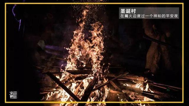 植物大战僵尸19